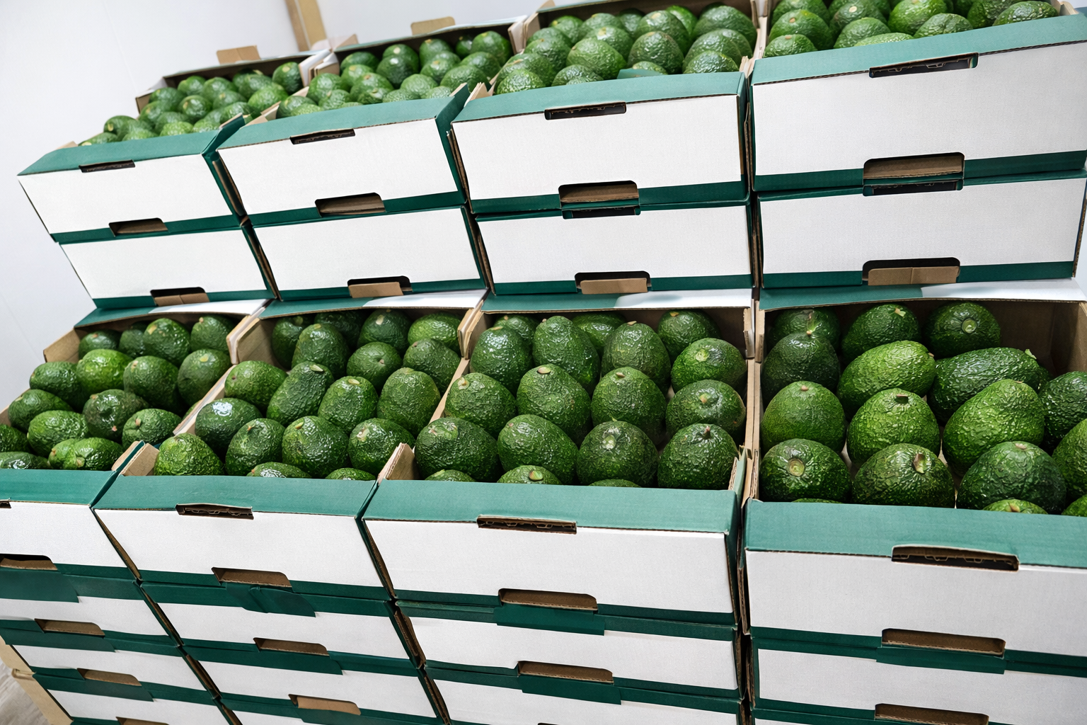 Export packing
