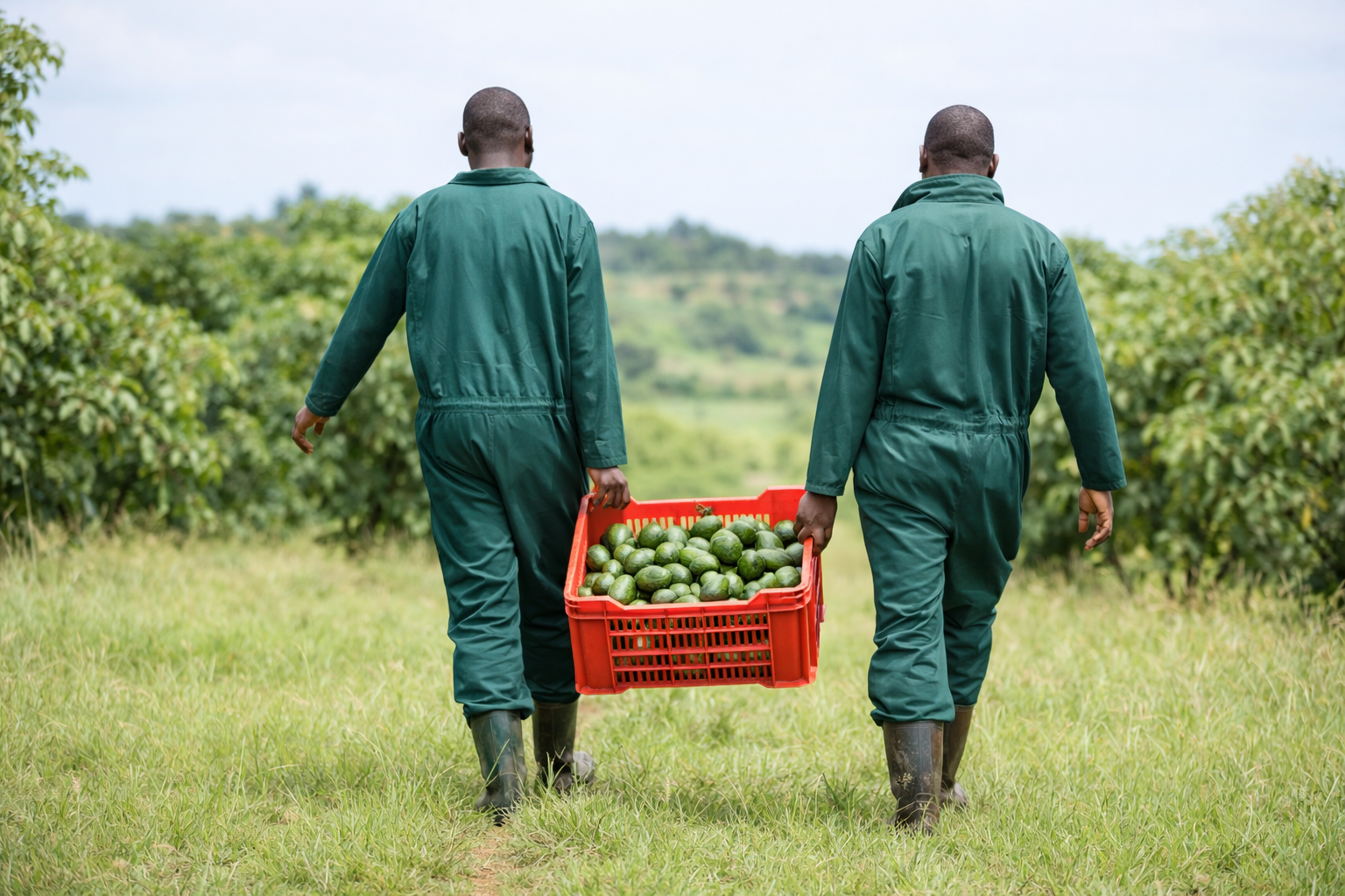 Farmer partners